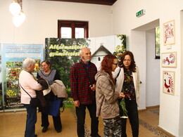 Kiállítás a madarakért és a fákért, fotó: Bakonyi Erzsébet