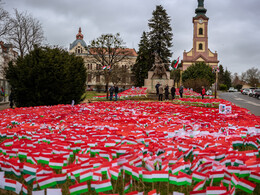 Piros, fehér, zöld, fotó: Gergely Szilárd