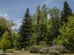 Budafai arborétum tavasszal, fotó: Czigóth Sándor