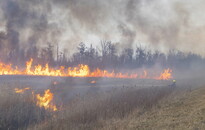 24 hektáros területen ég az aljnövényzet a Kis-Balaton térségében (Frissítve: Több száz hektárnyi terület égett le)