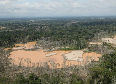 A fák, az erdő maga az élet – intenzív erdősítés világszerte, de az Amazonas még mindig vesztésre áll