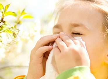 Allergológus: egyre kisebb a pollenek szerepe az allergiában