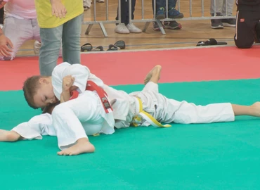 Több kategóriában is érmet szereztek a kanizsai judokák
