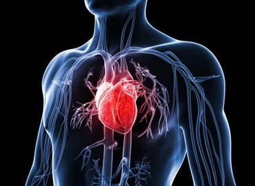 Megnő a szív- és érrendszeri halálozás kockázata a rákbetegeknél