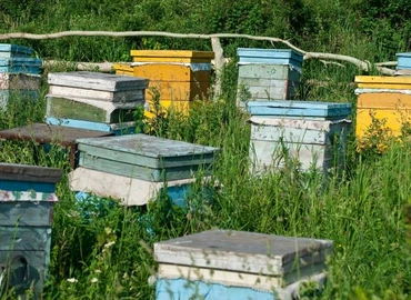 Nem lehetnek nyugodtak a méhészek: már a méhkaptárakat is lopják