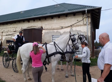 Sikeres vizsgát tettek a lovastúra-vezető képzés résztvevői