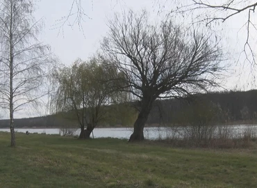 Balesetveszélyes fákat vágtak ki a Csónakázó-tónál