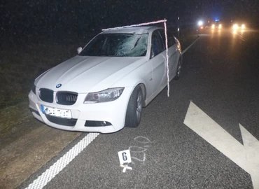 Két BMW is összetört egy úttestre ugró szarvasbika miatt