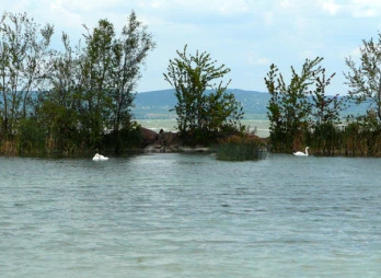 Egyre melegebb a Balaton, de a vízminőség még tökéletes