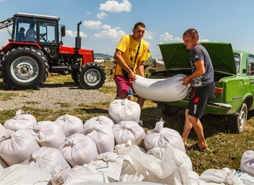 Magyarok kenyere - Összeöntötték a Kárpát-medencei magyar gazdák által gyűjtött búzát Kárpátalján
