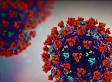 Egy új kutatás szerint a kannabiszból kivont két sav is segíthet a koronavírus elleni küzdelemben