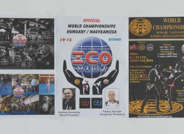Harcművészeti világbajnokságot rendez Nagykanizsa 