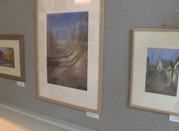 Kortárs festőművész kiállítása nyílt meg Palinban 